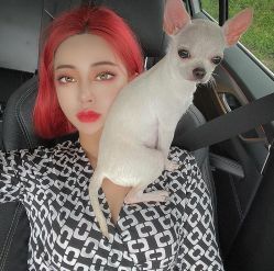 -Kraemer Paris  苏豪路易士·嘉玛发廊