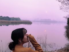 -艾溪湖湿地公园