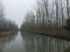 -溱湖国家湿地公园