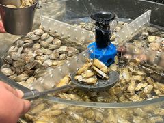 -汉江山料理级自助烤肉黑金冠(周口好吃城店)
