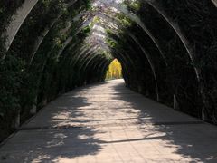 -天津东丽湖风景区