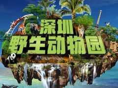 -深圳野生动物园