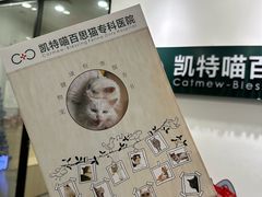 -凯特喵百思猫专科医院