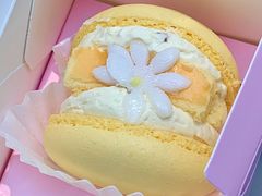 -邓婆婆手工冰粉铺(中港·燊海森林店)