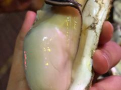 -土蚝·高压锅生蚝(百姓美食街店)