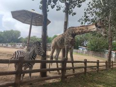 -大连森林动物园