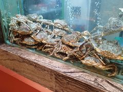 -海逸海鲜酒家(古北店)