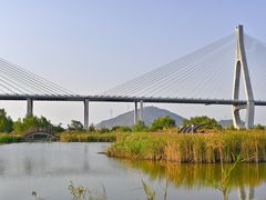 -芒洲湿地公园