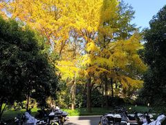 -浙江大学(玉泉校区)