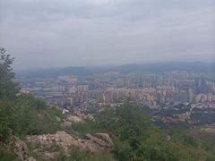 -长虫山生态公园风景林