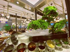-洪氏嗨捞·猪肚鸡火锅(阳光天地店)