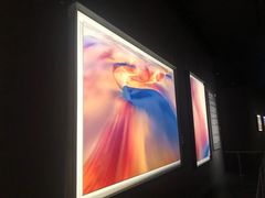 -罗红摄影艺术馆