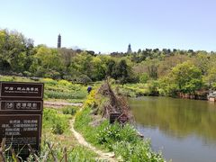 -巢湖姥山岛