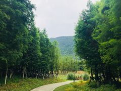 -贵阳市花溪国家城市湿地公园