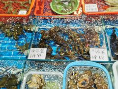 -船奇蒸汽海鲜·闽菜(八市海鲜总店)