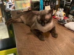 -新月集庭院咖啡馆(老邮局店)