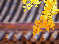 -香山公园