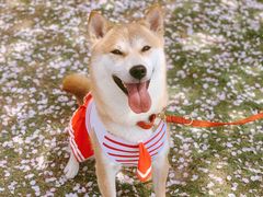 -龙美术馆(西岸馆)