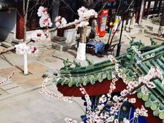 -千佛山风景名胜区