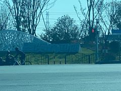 -上海都市菜园