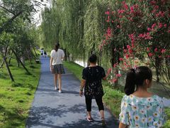 -成都市活水公园