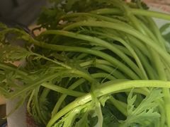 -东门口·新式老北京火锅(河西龙湖天街店)