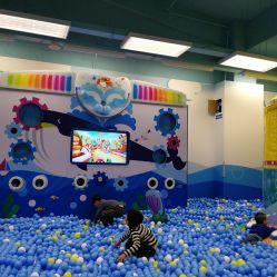 -莫莉幻想儿童乐园(郑州丹尼斯三天地店)