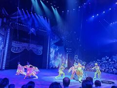 -珠海横琴长隆《卡卡虎奇遇记》