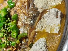 豆花-探鱼·鲜青椒爽麻烤鱼(北京路天河城店)
