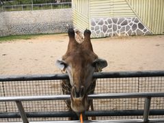 -泉州海丝野生动物世界