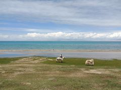 -青海湖国家重点风景名胜区