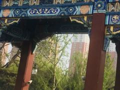 -迎泽公园