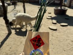 -茅山东方盐湖城景区