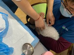 -瑞派名望24h动物医院异宠专科·猫专科·骨科·重症监护分院