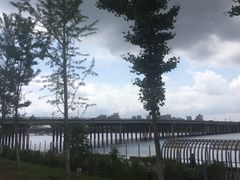 -长白岛森林公园