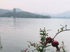 -柳莺湖上·湖景餐厅·江南菜(西湖店)