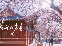 -桃花堤公园