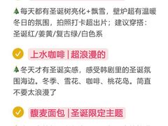 -日照海滨国家森林公园