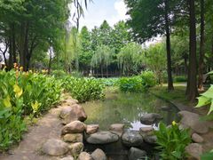 -陈家山荷花公园