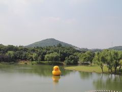 -上海佘山世茂艾美酒店