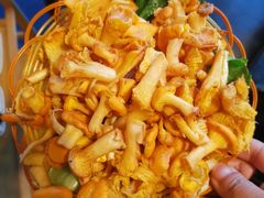 -易门野生菌府·菌海森林(月牙潭公园店)