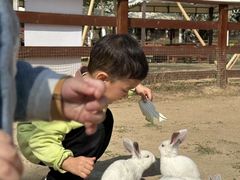 -盈香心动乐园