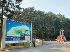 -汉拿树木园