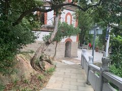 -顺峰山公园