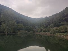 -旺山景区