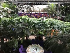-九尊食上(生态园林酒店)