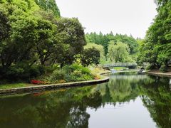 -上海共青森林公园