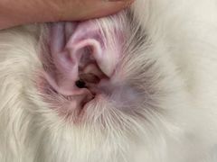 -comecome来吧宠物(奥克斯中心店)