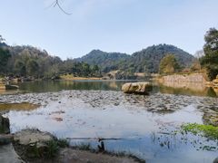 -桃花岭景区