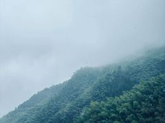 -杨家堂村